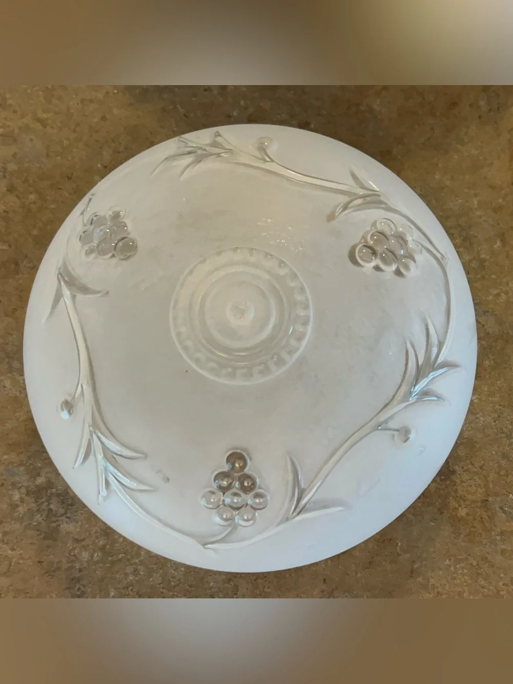 Vintage Frosted Floral and Vine Ceiling Light Fixture Cover